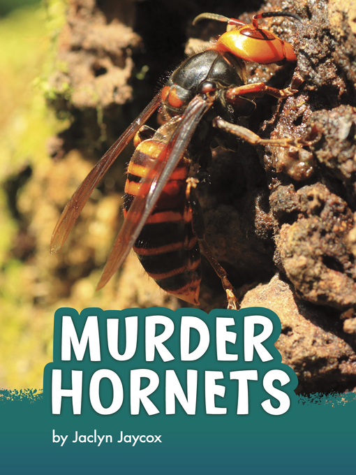Title details for Murder Hornets by Jaclyn Jaycox - Available